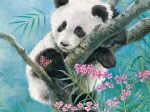 Bamboo Dreams