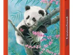 Bamboo Dreams