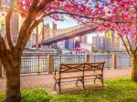 New York, USA