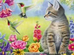 Tabitha's Garden