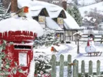 Rotkehlchen im Schnee