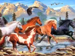 Wild and Free