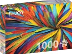 Colorful Feathers