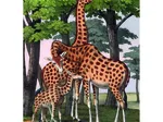 Giraffen