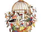 Vogelstrauß – 750-teiliges Puzzle