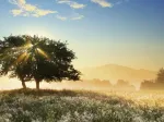 Play of Light