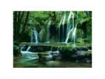 Magic Forests Cascades
