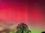 Sycamore Gap