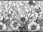 Monochrome Blumenpoesie