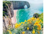Landschaft - Die Klippen Von Étretat - Normandie