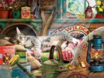Snoozing in The Shed