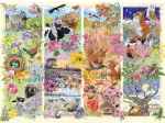 Through the Seasons