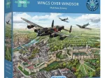Flügel über Windsor