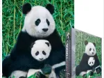 Panda-Familie
