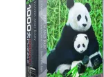 Panda-Familie