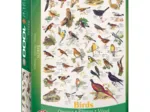 Vögel (englischer Text)