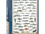 Süßwasserfische