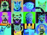 Lustige Katzen