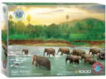 Save our Planet Collection - Regenwald