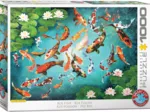 Colorful Koi