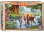 Steve Crisp - The Fell Ponies