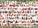 Weihnachtshund