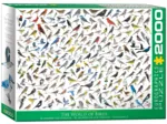 Die Welt der Vögel von David Sibley