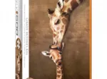 XXL Teile - Giraffe Mother's Kiss