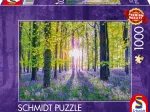 Zarte Glockenblumen im Wald