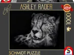 Speed - Gepard : Im Zeichen der Anmut 