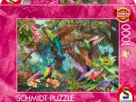 Kolibri-Farbenspiel