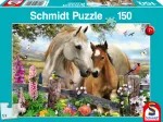 Stute und Fohlen