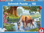 Pferde am Bach