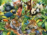 Kunterbunte Tierwelt