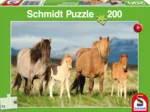 Pferdefamilie