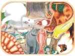 Handgeschnittenes Holzpuzzle - Crazy Pets