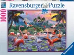 Rosa Flamingos