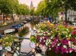 Blumen In Amsterdam