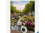 Blumen In Amsterdam