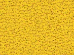 Pikachu Challenge - Pokemon