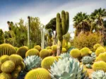 Der Huntington Desert Garden, Kalifornien, USA