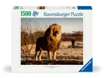 Löwe. Der König der Tiere