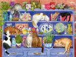 Wellness & Puzzle - Katzen im Regal