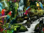 Parrots in the Jungle
