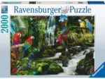 Parrots in the Jungle