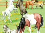 3 Puzzles - Ein Tag Auf Dem Reiterhof