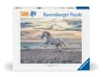 Horse on the Beach