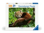 Süßer roter Panda