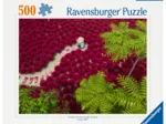 Ein Meer aus Rot