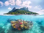 Insel und Korallenwelt